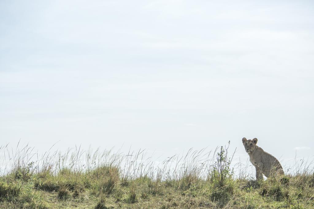 Mara Engai Lodge Lolgorien Екстер'єр фото